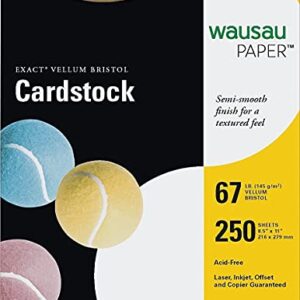 Neenah Exact Vellum Bristol, 8.5″ x 11″, 67 lb/147 gsm, White, 94 Brightness, 250 Sheets (80211)