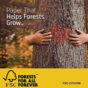 HP Paper Printer | 8.5 x 11 Paper | Premium 32 lb | 1 Ream – 500 Sheets | 100 Bright | Made in USA – FSC Certified | 113100R