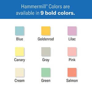 Hammermill Colored Paper, 20lb Pink Printer Paper, 8-1/2 x 11- 1 Ream (500 Sheets) – Made in the USA, Pastel Paper, 103382R