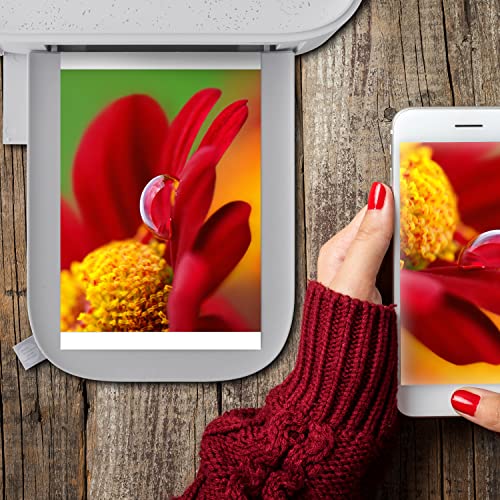 HP Sprocket Studio Plus 4 x 6” Photo Paper and Cartridges (Includes 216 Sheets and 4 Cartridges) – Compatible only with HP Sprocket Studio Plus Printer - Image 4