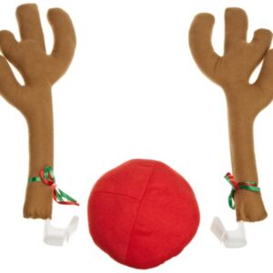 Mystic Industries Reindeer Car Costume