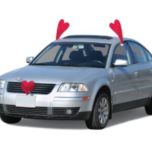 Mystic Industries Valentine’s Day Vehicle Costume