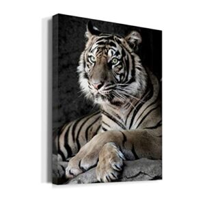 Renditions Gallery Sumatran Tiger Wall Art, Premium Gallery Wrapped Canvas Decor, Ready to Hang, 40 in H x 30 in W, Made in America Print