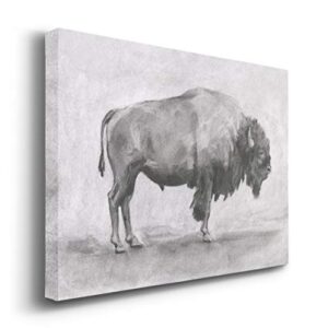 Renditions Gallery Wild Bison I Wall Art, American Bison Charcoal Sketch Print, Black & White Premium Gallery Wrapped Canvas Decor, Ready to Hang, 24 in H x 36 in W, Made in America Artwork