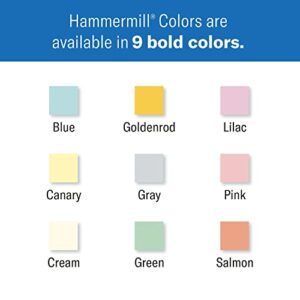 Hammermill Colored Paper, 24 lb Pink Printer Paper, 8.5 x 11-1 Ream (500 Sheets) – Made in the USA, Pastel Paper, 104463R