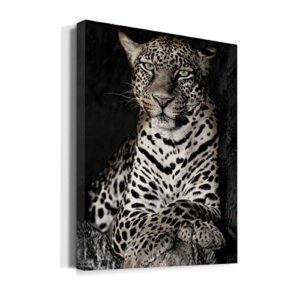 Renditions Gallery African Leopard Wall Art, Premium Gallery Wrapped Canvas Decor, Ready to Hang, 48 in H x 36 in W, Made in America Print (AZS-WC23-42849-R-3648-MK)