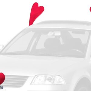 Mystic Industries Valentine’s Day Vehicle Costume