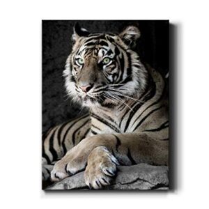 Renditions Gallery Sumatran Tiger Wall Art, Premium Gallery Wrapped Canvas Decor, Ready to Hang, 40 in H x 30 in W, Made in America Print