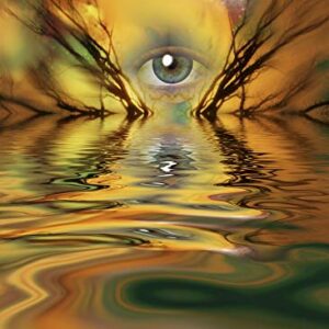 Posterazzi PSTRFF200992SLARGE Eye and Branches of Tree Photo Print, 24 x 36, Multi
