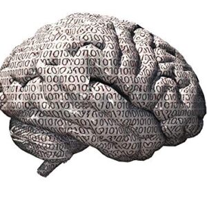 Posterazzi PSTRFF700061HLARGE Binary Brain Photo Print, 24 x 36, Multi