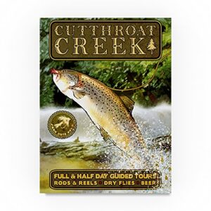 Trademark Fine Art ALI21535-C1419GG Cutthroat Creek Brown Trout, 14 x 19